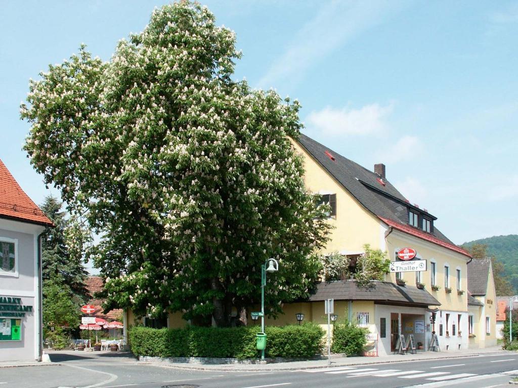 Gasthof Thaller Hotel Lebring Buitenkant foto